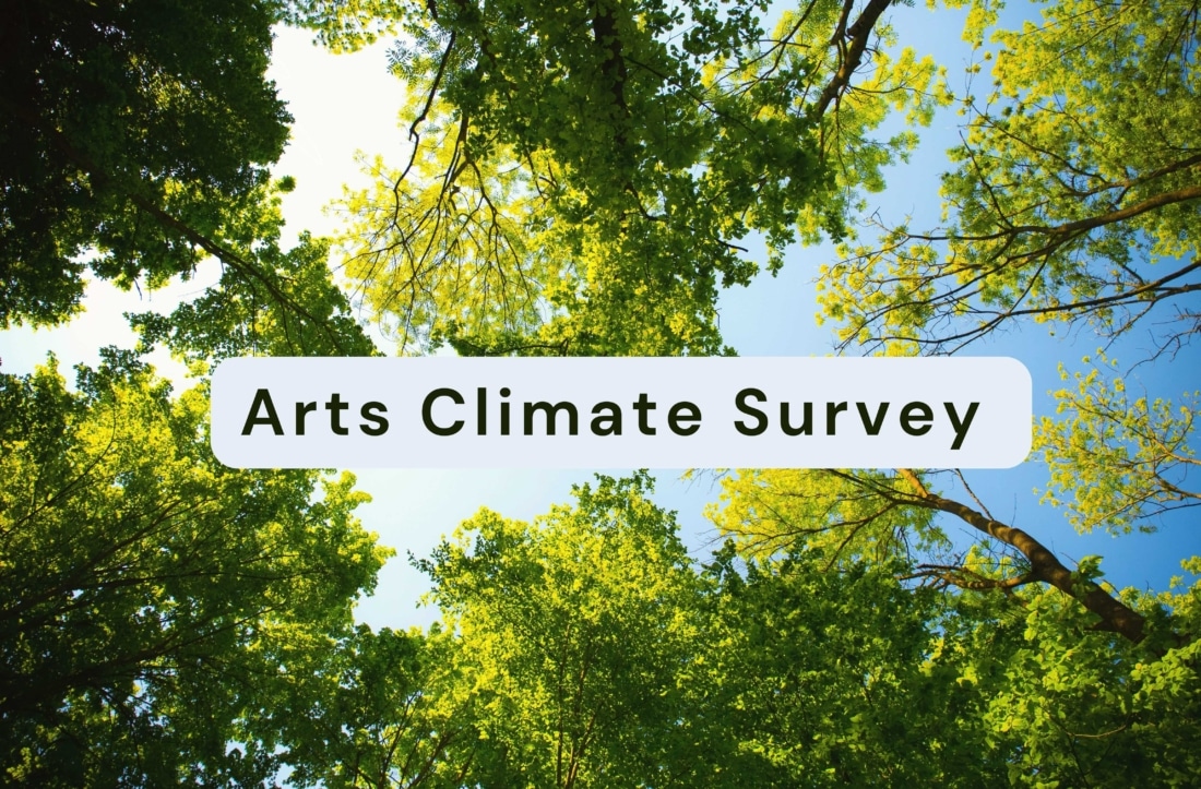 Arts Climate Survey Citizen Space Image Low Res