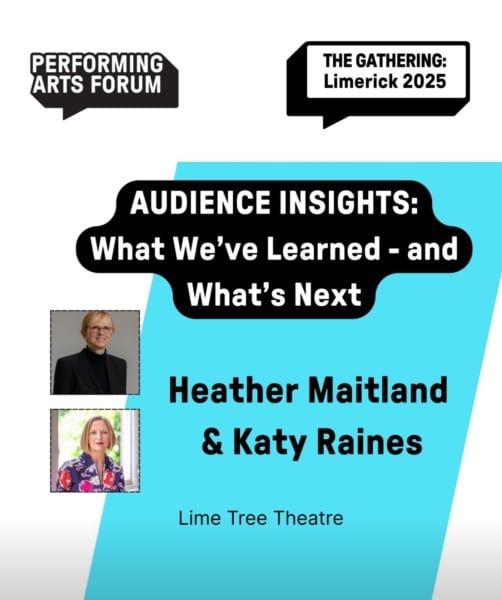 Audience Insights 2025
