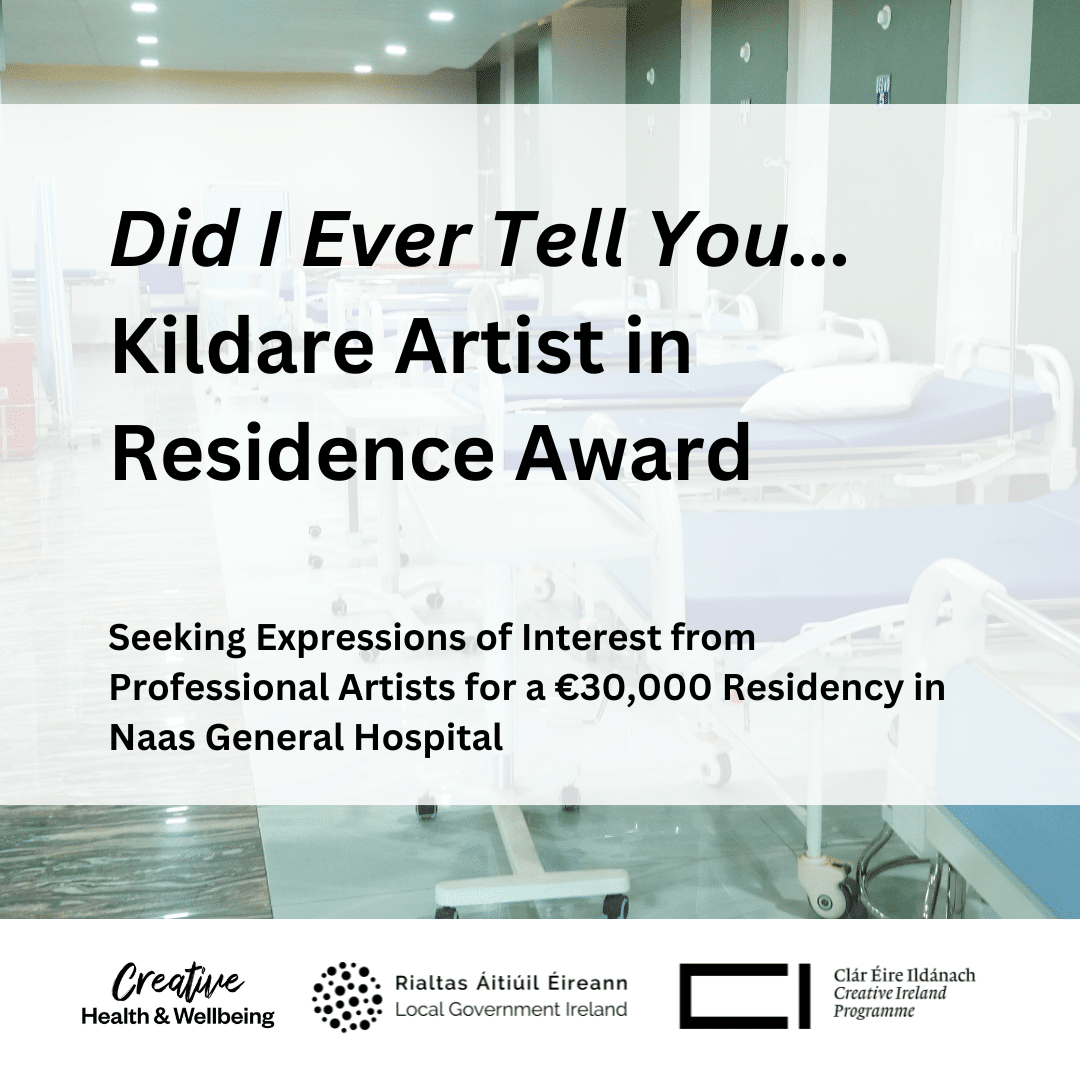 Eoi Kildare Artist In Residence Award Image.png